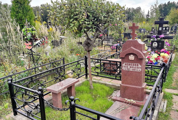 Памятник из красного гранита и кованая ограда